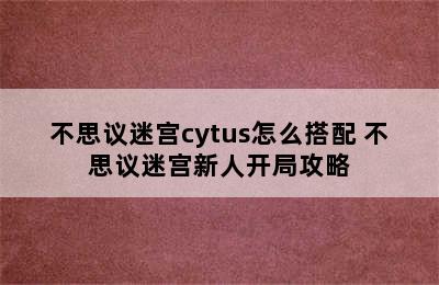 新人攻略/不思议迷宫cytus怎么搭配 不思议迷宫新人开局攻略